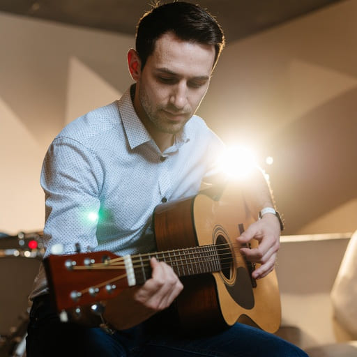 Musiciens, auteurs, compositeurs, interpr&egrave;tes, artistes, instrument, Industrie : Activit&eacute;s de l'Entreprises de l'industrie en France de la musique et du monde de l&rsquo;&eacute;v&eacute;nementielle